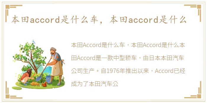 本田accord是什么车，本田accord是什么