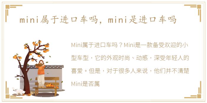 mini属于进口车吗，mini是进口车吗