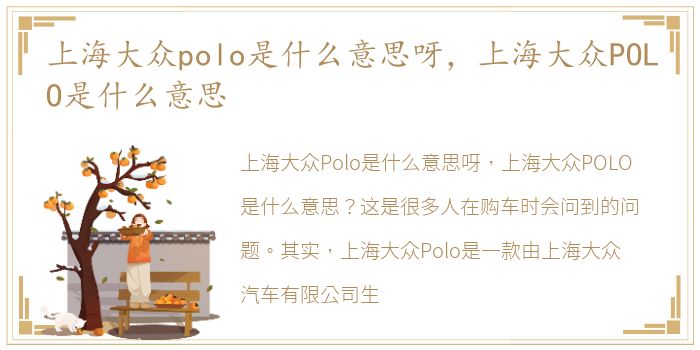 上海大众polo是什么意思呀，上海大众POLO是什么意思