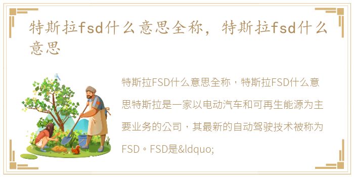 特斯拉fsd什么意思全称，特斯拉fsd什么意思