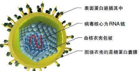 核酸检测常阳，是怎么回事？