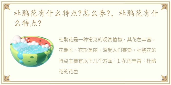 杜鹃花有什么特点?怎么养?，杜鹃花有什么特点?