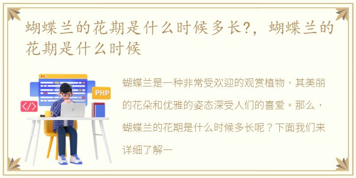 蝴蝶兰的花期是什么时候多长?，蝴蝶兰的花期是什么时候