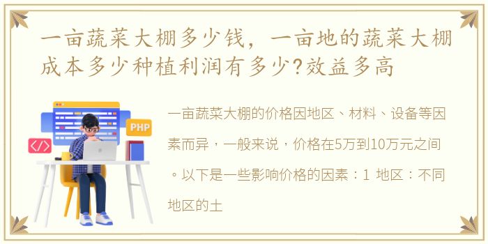 一亩蔬菜大棚多少钱，一亩地的蔬菜大棚成本多少种植利润有多少?效益多高