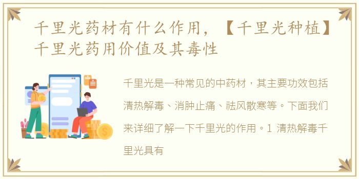 千里光药材有什么作用，【千里光种植】千里光药用价值及其毒性