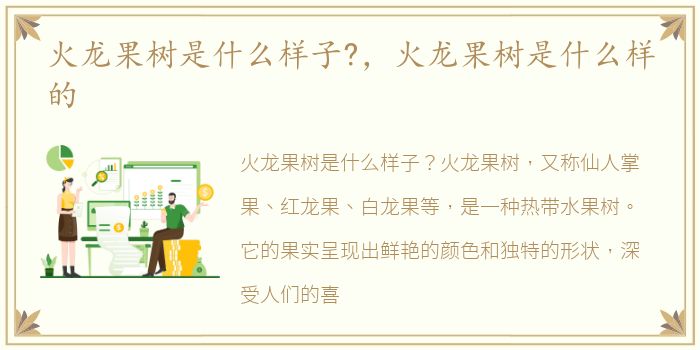 火龙果树是什么样子?，火龙果树是什么样的