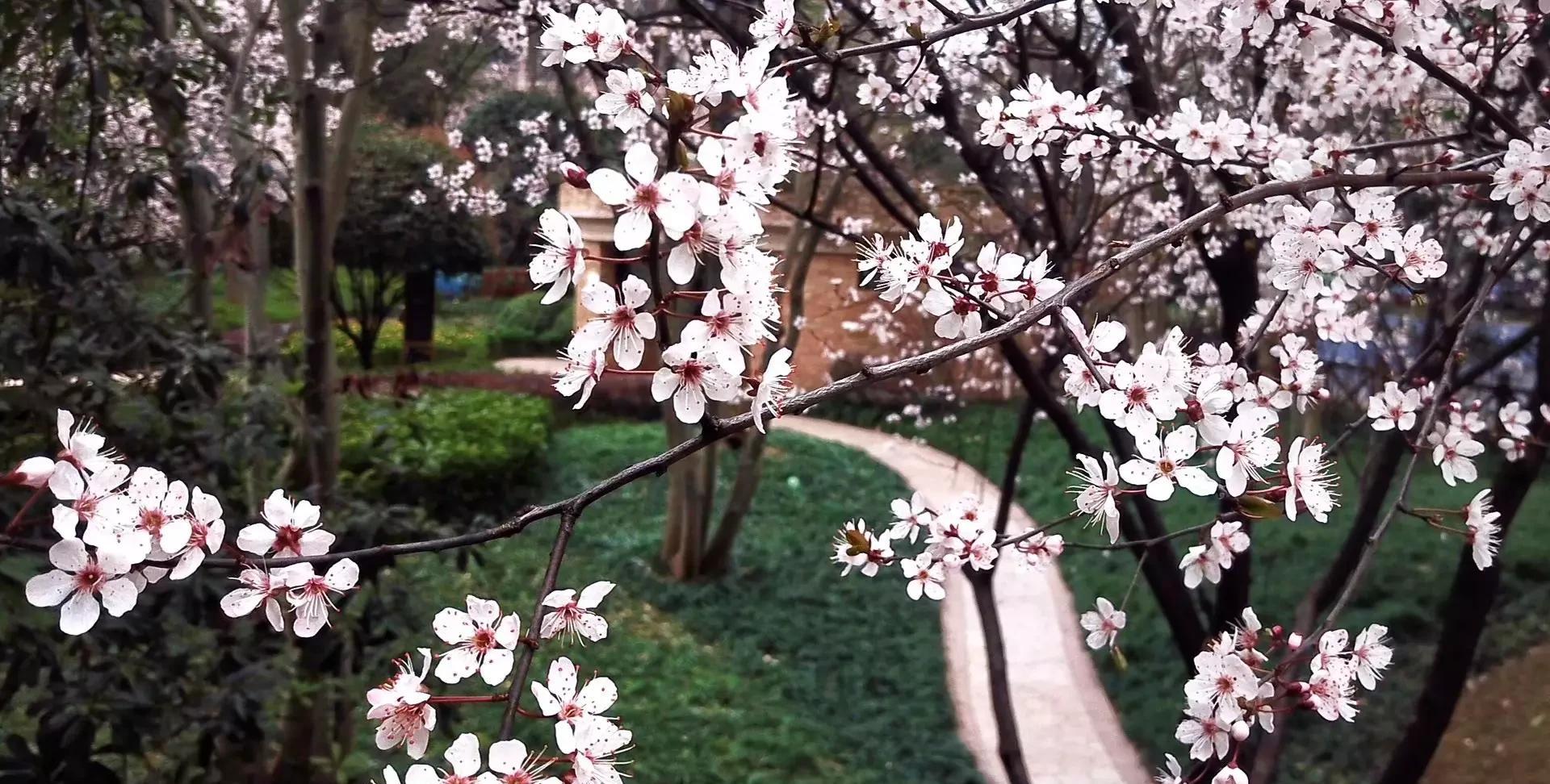 怎么和水瓶座男孩子处对象，有点害怕了，都是前期热后期冷吗？