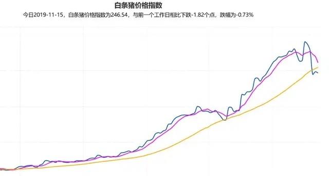 今年的鸡蛋价格着实让人大跌眼镜，年内鸡蛋价格是否会继续新高？