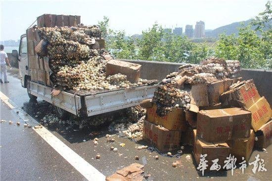 高速公路上货车自燃，近2万枚鸡蛋被烤熟 www.56rrr.com