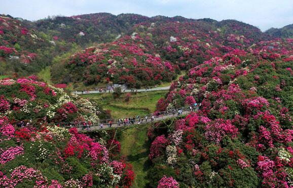 贵州十大旅游景点排名(贵州旅游区景点排名)