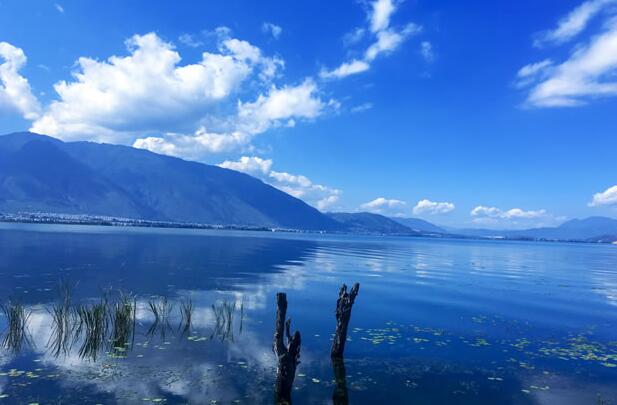 大理景点洱海介绍(大理洱海的景点)