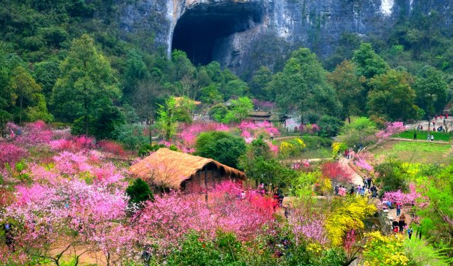 酉阳旅游景点大全