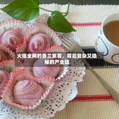 火爆全网的香兰紫薯，背后复杂又隐秘的产业链