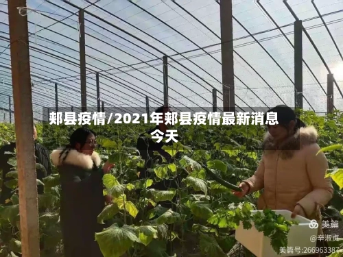 郏县疫情/2021年郏县疫情最新消息今天