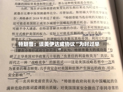 特朗普：谈美伊达成协议“为时过早”